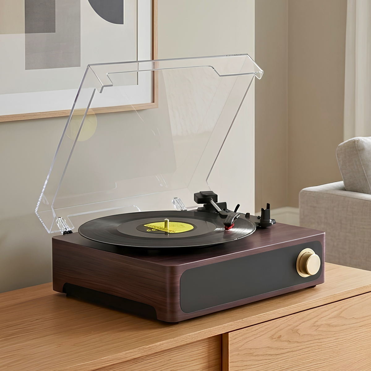 Platine Vinyle Ravel