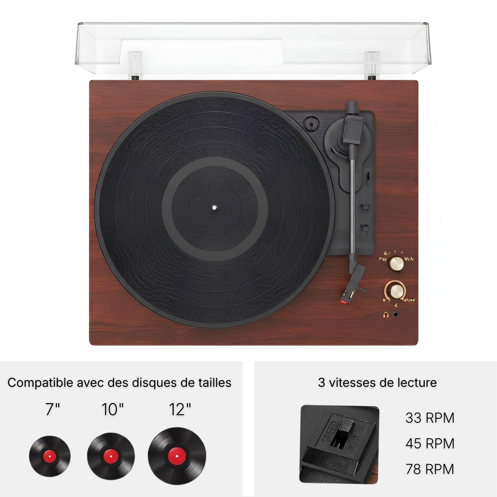 Platine Vinyle Malo