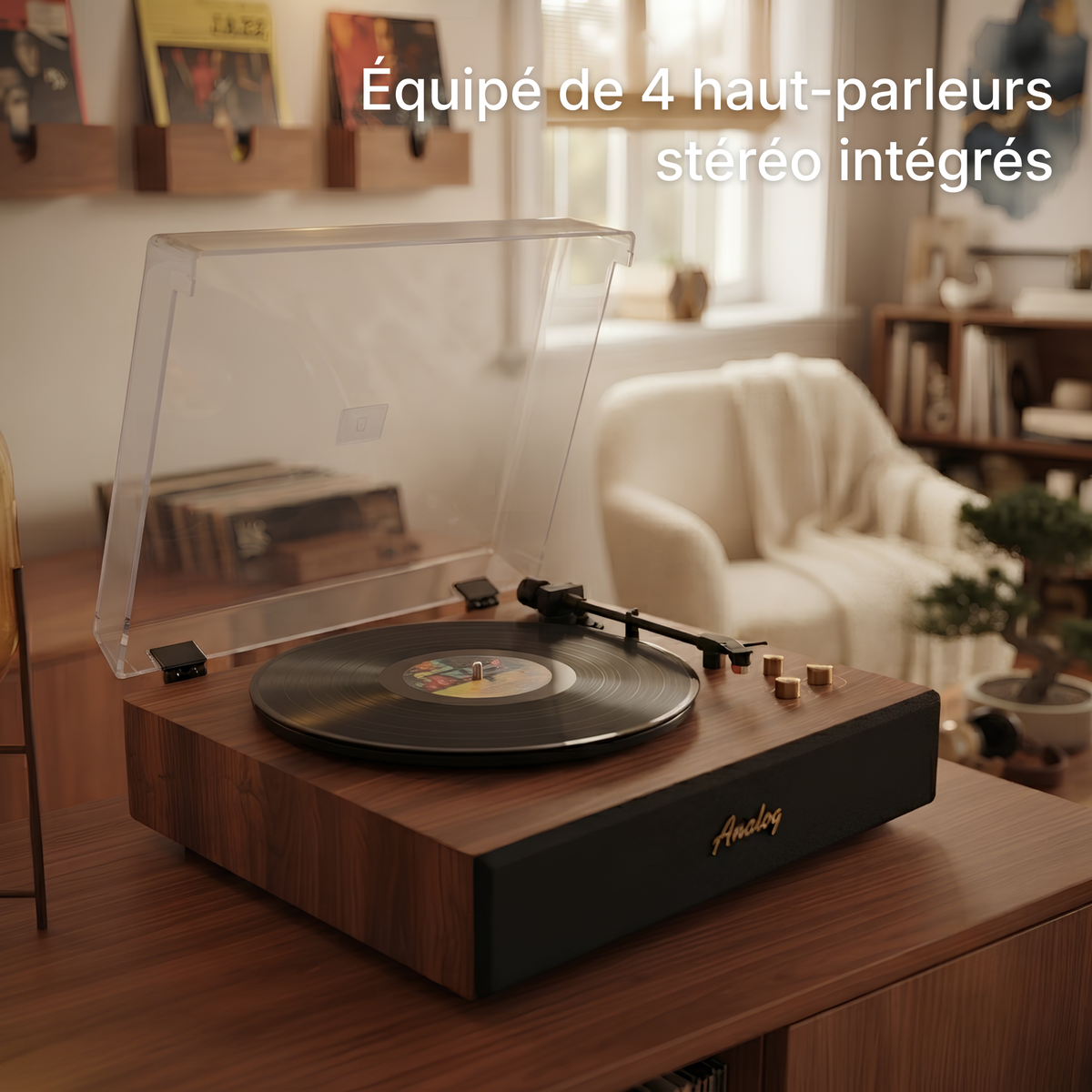 Platine Vinyle Enova