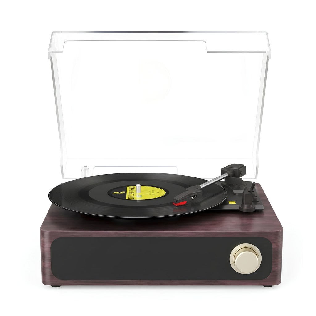 Platine Vinyle Ravel